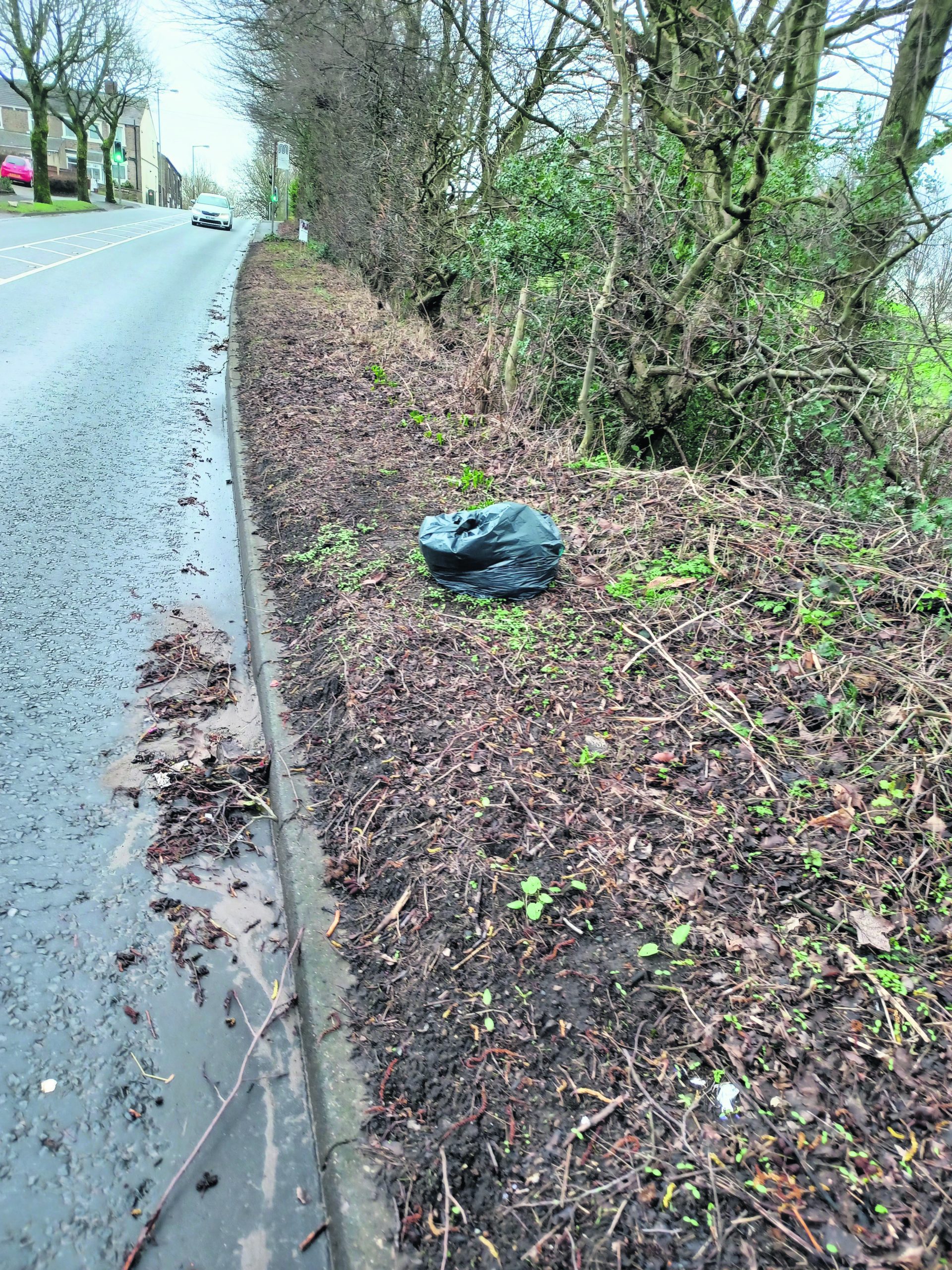 Woman punished for dropping litter Tameside Correspondent