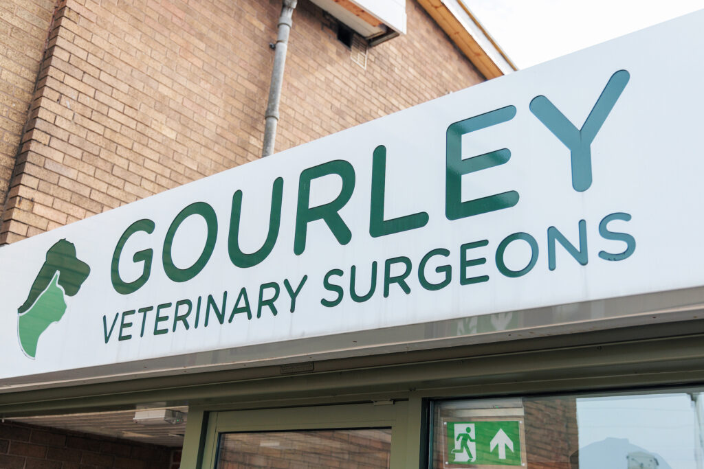 New vet surgery to open in Denton - Tameside Correspondent