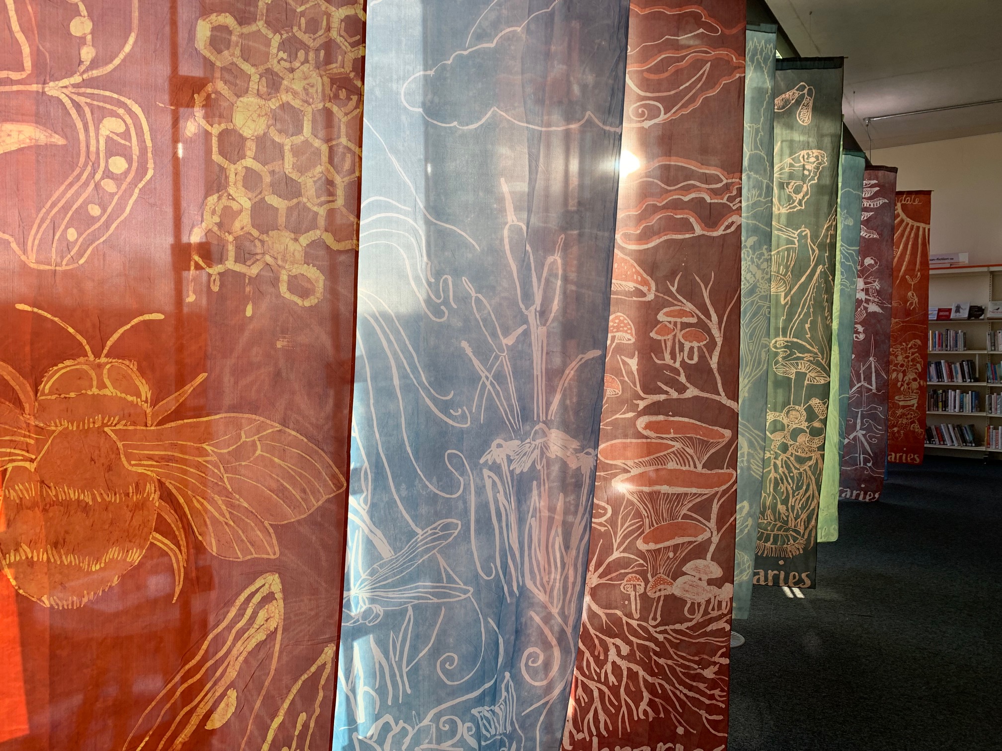 The flags that will be on display in Ashton Library.
